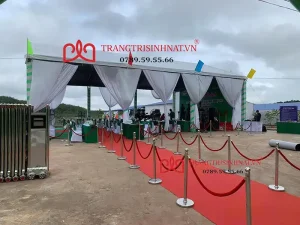 Quy trình tổ chức bài bản, chỉn chu